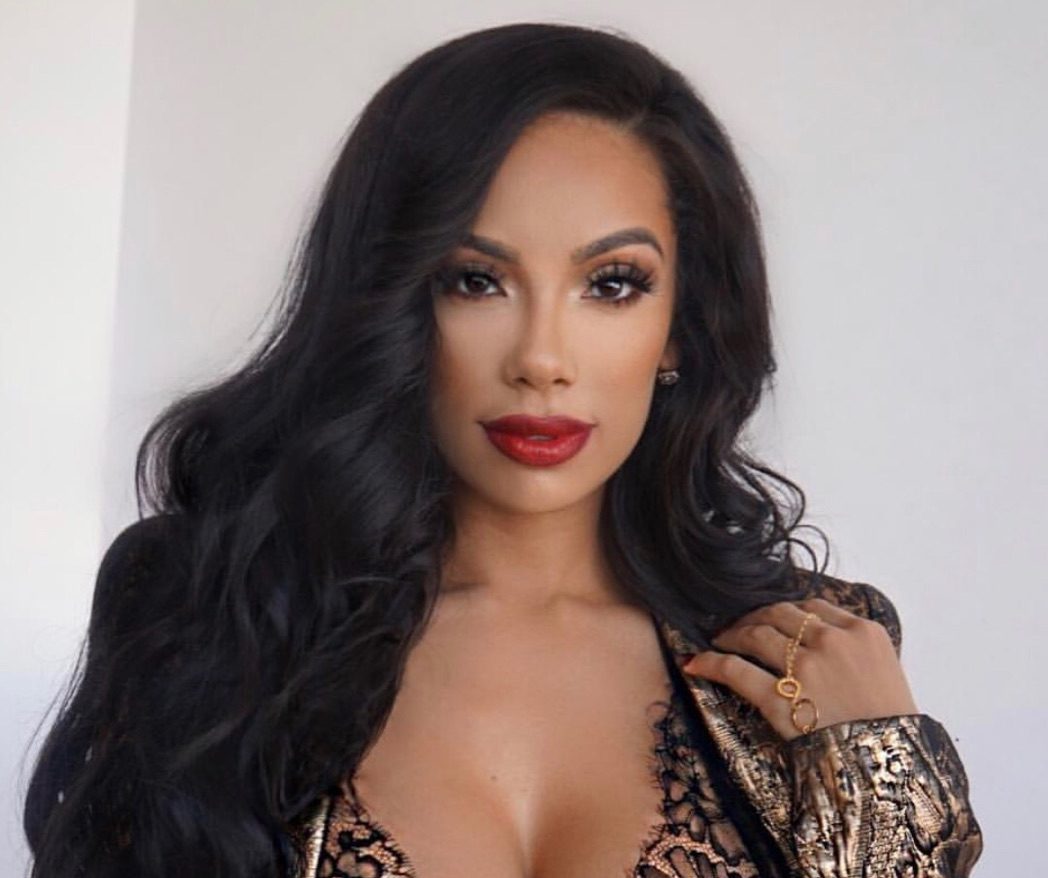 Erica mena's net worth